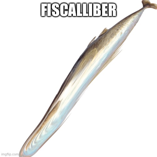 FISCALLIBER | made w/ Imgflip meme maker