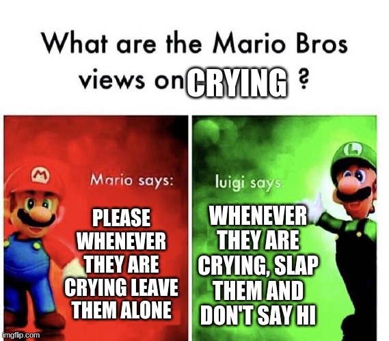 Mario Bros Views | CRYING; PLEASE WHENEVER THEY ARE CRYING LEAVE THEM ALONE; WHENEVER THEY ARE CRYING, SLAP THEM AND DON'T SAY HI | image tagged in mario bros views,crying,evil,heaven | made w/ Imgflip meme maker