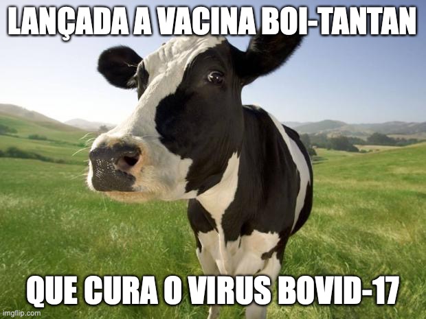 Bolsonaro gado | LANÇADA A VACINA BOI-TANTAN; QUE CURA O VIRUS BOVID-17 | image tagged in cow,gado,bolsonaro | made w/ Imgflip meme maker