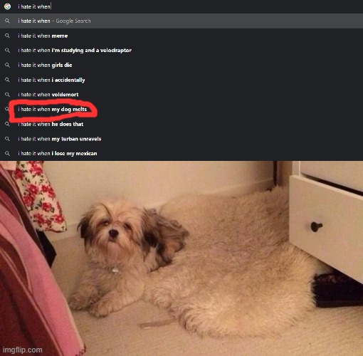 Whaaaaaaat | image tagged in lol,idk | made w/ Imgflip meme maker