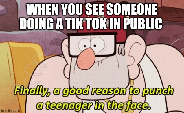 gravity falls | WHEN YOU SEE SOMEONE DOING A TIK TOK IN PUBLIC | image tagged in gravity falls | made w/ Imgflip meme maker
