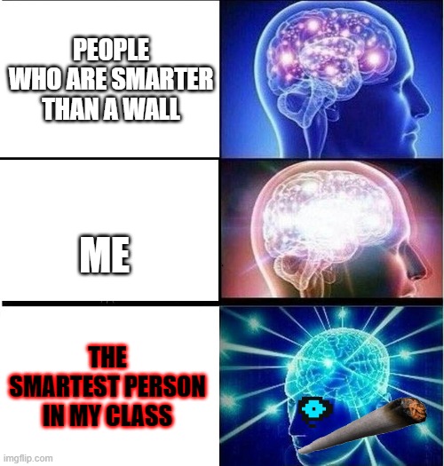 Expanding brain 3 panels | PEOPLE WHO ARE SMARTER THAN A WALL; ME; THE SMARTEST PERSON IN MY CLASS | image tagged in expanding brain 3 panels | made w/ Imgflip meme maker