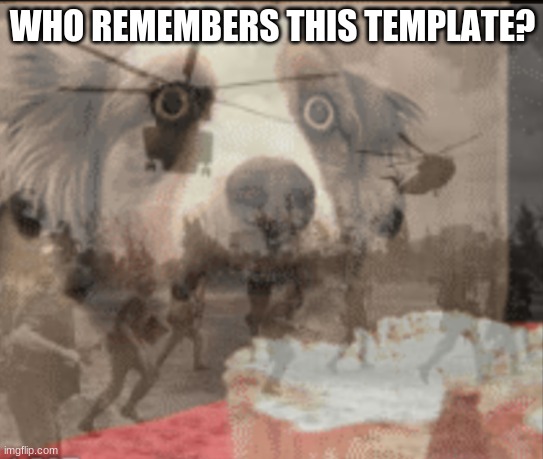 this is like one of my og temps lol. Take your veterans discount if you do | WHO REMEMBERS THIS TEMPLATE? | image tagged in ptsd muffin dog | made w/ Imgflip meme maker