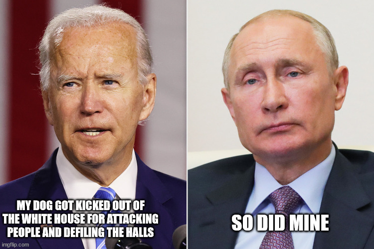 Relatable | MY DOG GOT KICKED OUT OF THE WHITE HOUSE FOR ATTACKING PEOPLE AND DEFILING THE HALLS; SO DID MINE | image tagged in joe biden,vladimir putin,donald trump,bad dog | made w/ Imgflip meme maker