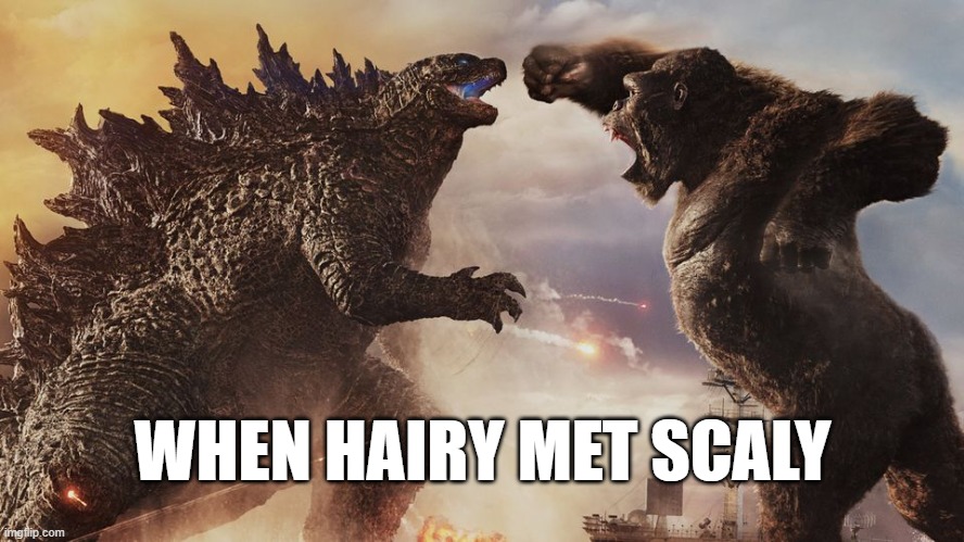 WHEN HAIRY MET SCALY | image tagged in kong,godzilla | made w/ Imgflip meme maker
