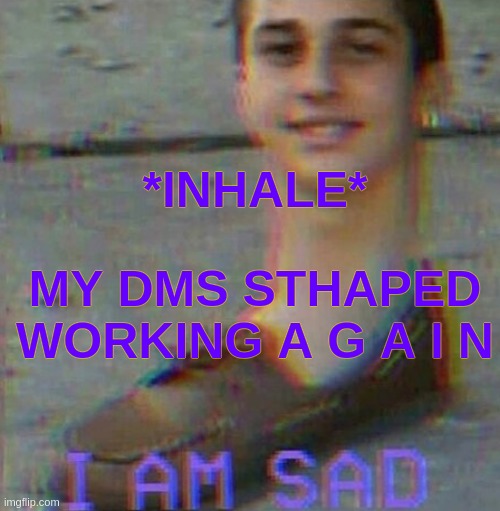 ;-; | *INHALE*; MY DMS STHAPED WORKING A G A I N | image tagged in i am sad | made w/ Imgflip meme maker