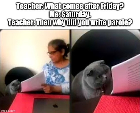 I'm out of ideas | Teacher: What comes after Friday?
Me: Saturday.
Teacher: Then why did you write parole? | image tagged in cat looking at test | made w/ Imgflip meme maker