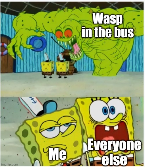 Ngl This Happened Today | Wasp in the bus; Everyone else; Me | image tagged in spongebob squarepants scared but also not scared | made w/ Imgflip meme maker