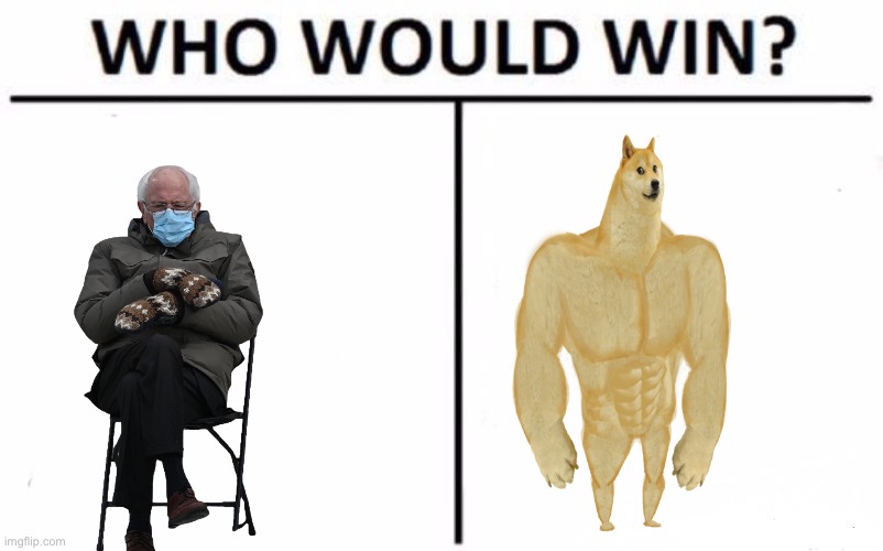Who Would Win? | image tagged in memes,who would win | made w/ Imgflip meme maker