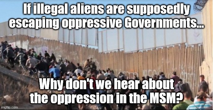 Immigrants Oppression | If illegal aliens are supposedly escaping oppressive Governments... Why don't we hear about the oppression in the MSM? | image tagged in illegal immigrants | made w/ Imgflip meme maker