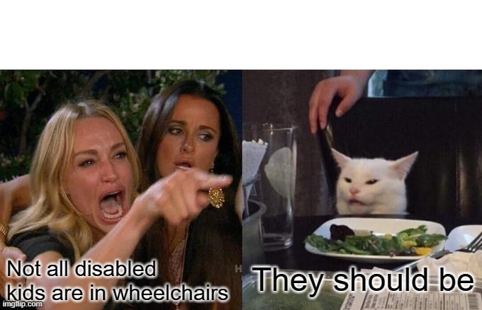 Woman Yelling At Cat Meme | They should be; Not all disabled kids are in wheelchairs | image tagged in memes,woman yelling at cat | made w/ Imgflip meme maker