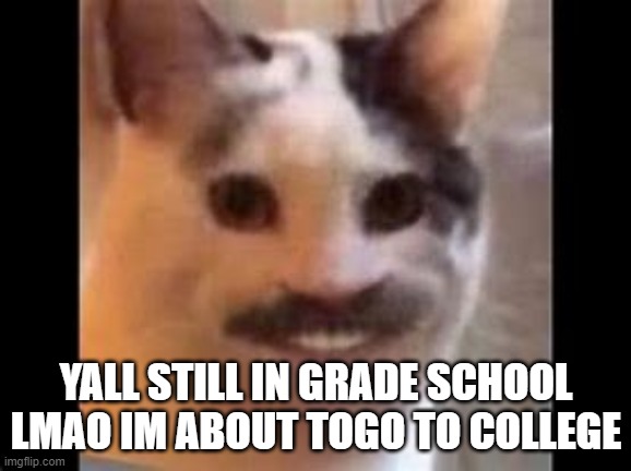 lol |  YALL STILL IN GRADE SCHOOL LMAO IM ABOUT TOGO TO COLLEGE | image tagged in hitler cat | made w/ Imgflip meme maker