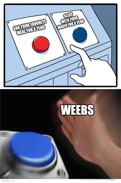 two buttons 1 blue | SLEEP WITH YOUR WAIFU FOR A YEAR; EAR YOUR FAVORITE MEAL FOR A YEAR; WEEBS | image tagged in two buttons 1 blue | made w/ Imgflip meme maker