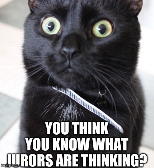 Woah Kitty Meme | YOU THINK YOU KNOW WHAT JURORS ARE THINKING? | image tagged in memes,woah kitty | made w/ Imgflip meme maker