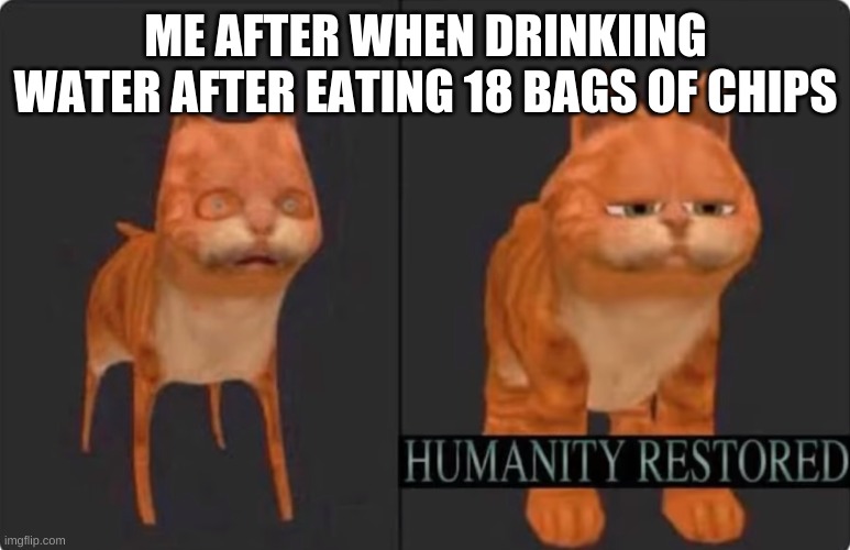 humanity restored | ME AFTER WHEN DRINKING WATER AFTER EATING 18 BAGS OF CHIPS | image tagged in humanity restored | made w/ Imgflip meme maker