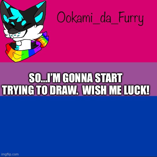 Hehe | SO...I’M GONNA START TRYING TO DRAW.  WISH ME LUCK! | image tagged in ookami announcement | made w/ Imgflip meme maker