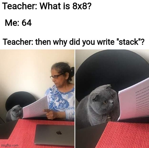 True | Teacher: What is 8x8? Me: 64; Teacher: then why did you write "stack"? | image tagged in woman showing paper to cat | made w/ Imgflip meme maker