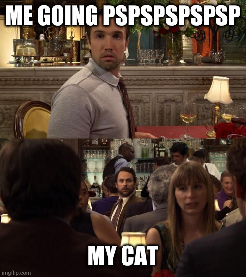 Charlie and Mac always sunny | ME GOING PSPSPSPSPSP; MY CAT | image tagged in charlie and mac always sunny | made w/ Imgflip meme maker