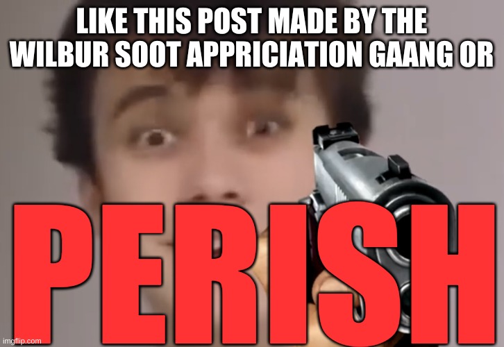 https://imgflip.com/i/53x1yh | LIKE THIS POST MADE BY THE WILBUR SOOT APPRICIATION GAANG OR; PERISH | image tagged in wilbur shoot | made w/ Imgflip meme maker