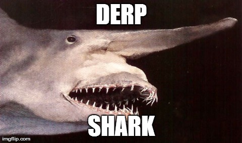 One Does Not Simply Meme | DERP SHARK | image tagged in memes,one does not simply,AdviceAnimals | made w/ Imgflip meme maker