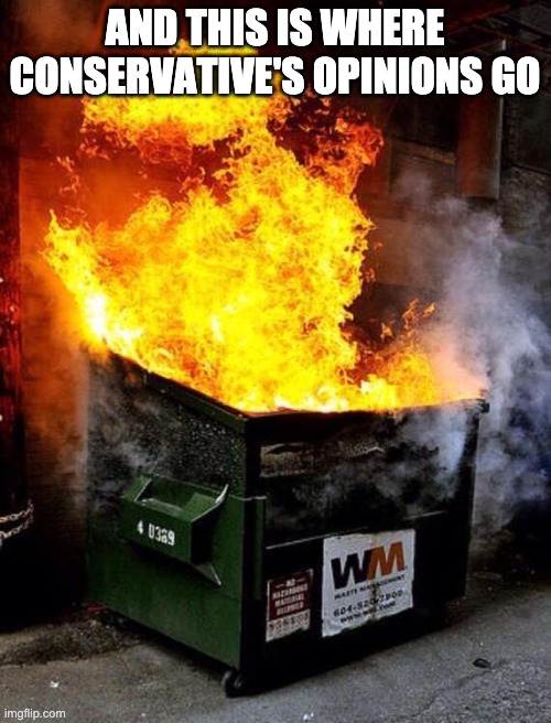 Dumpster Fire | AND THIS IS WHERE CONSERVATIVE'S OPINIONS GO | image tagged in dumpster fire | made w/ Imgflip meme maker