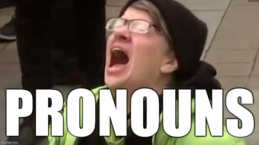 Screaming Liberal  | PRONOUNS | image tagged in screaming liberal | made w/ Imgflip meme maker