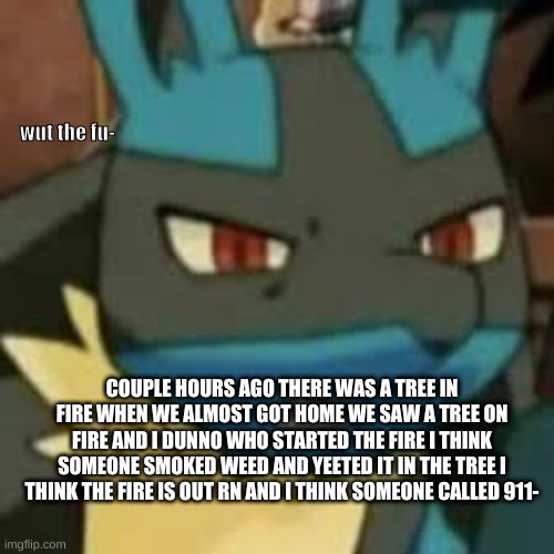 huh | COUPLE HOURS AGO THERE WAS A TREE IN FIRE WHEN WE ALMOST GOT HOME WE SAW A TREE ON FIRE AND I DUNNO WHO STARTED THE FIRE I THINK SOMEONE SMOKED WEED AND YEETED IT IN THE TREE I THINK THE FIRE IS OUT RN AND I THINK SOMEONE CALLED 911- | image tagged in lucario wtf | made w/ Imgflip meme maker
