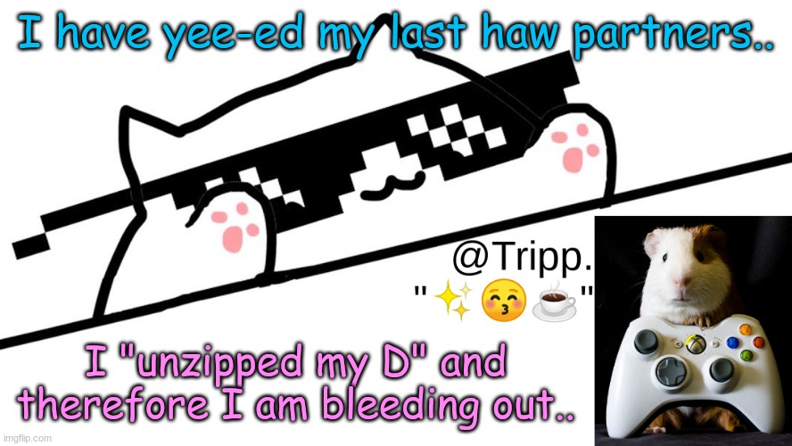 help.. | I have yee-ed my last haw partners.. I "unzipped my D" and therefore I am bleeding out.. | image tagged in tripp 's very awesome temp d | made w/ Imgflip meme maker