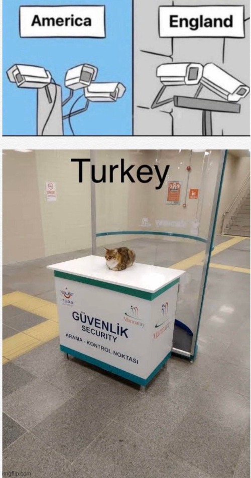 image tagged in england,america,turkey,cats | made w/ Imgflip meme maker