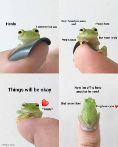 image tagged in wholesome,frogs,cute,animals,pets | made w/ Imgflip meme maker