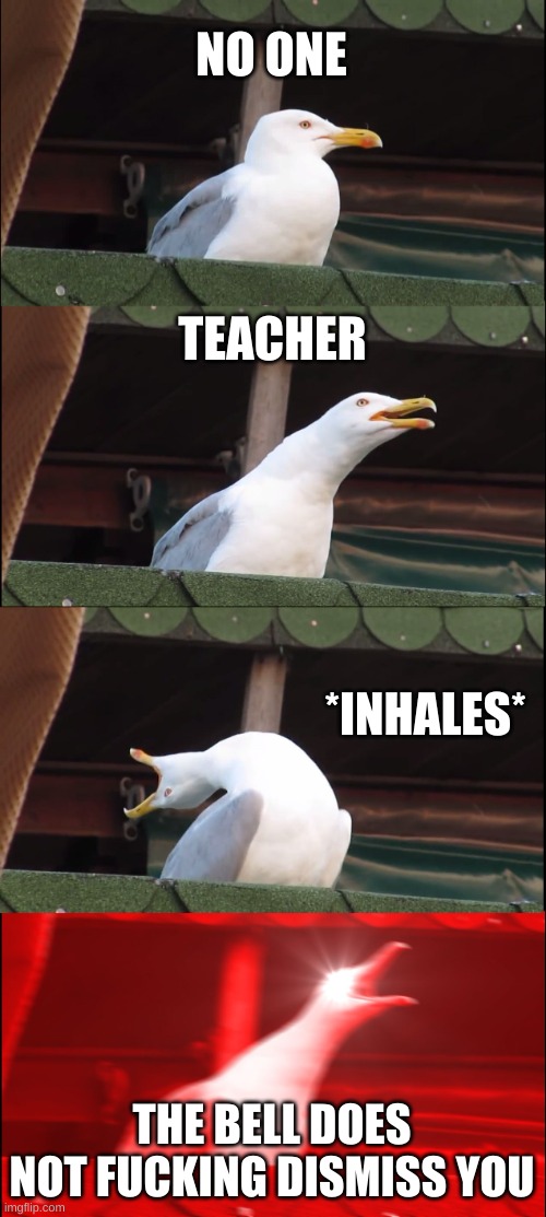 Teachers be like: | NO ONE; TEACHER; *INHALES*; THE BELL DOES NOT FUCKING DISMISS YOU | image tagged in memes,inhaling seagull | made w/ Imgflip meme maker