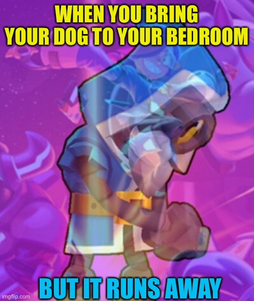 It’s sad | WHEN YOU BRING YOUR DOG TO YOUR BEDROOM; BUT IT RUNS AWAY | image tagged in dogs | made w/ Imgflip meme maker