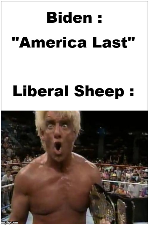 Sniffy Joe is the worst. | Biden :; "America Last"; Liberal Sheep : | image tagged in creepy joe biden,msm lies,cnn fake news,hillary for prison,where is hunter,epstein didnt kill himself | made w/ Imgflip meme maker