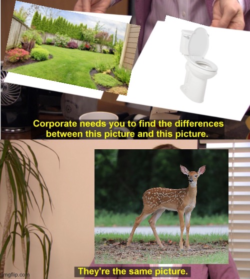 Deer poop, deer poop everywhere | image tagged in memes,they're the same picture | made w/ Imgflip meme maker