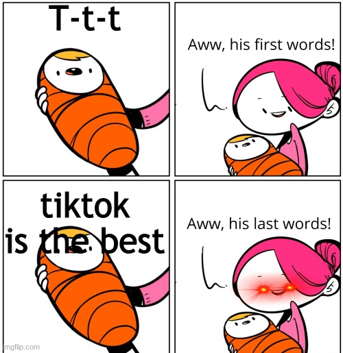 if u like tiktok go to hell :) | T-t-t; tiktok is the best | image tagged in aww his last words | made w/ Imgflip meme maker