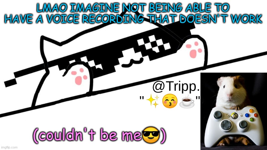 @Tripp.'s VERY AWESOME TEMP! :D | LMAO IMAGINE NOT BEING ABLE TO HAVE A VOICE RECORDING THAT DOESN'T WORK (couldn't be me?) | image tagged in tripp 's very awesome temp d | made w/ Imgflip meme maker