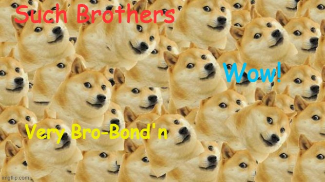 Interview With Doge #8 | Such Brothers; Wow! Very Bro-Bond'n | image tagged in memes,multi doge | made w/ Imgflip meme maker