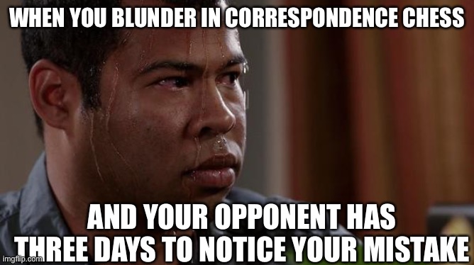sweating bullets | WHEN YOU BLUNDER IN CORRESPONDENCE CHESS; AND YOUR OPPONENT HAS THREE DAYS TO NOTICE YOUR MISTAKE | image tagged in sweating bullets,AnarchyChess | made w/ Imgflip meme maker