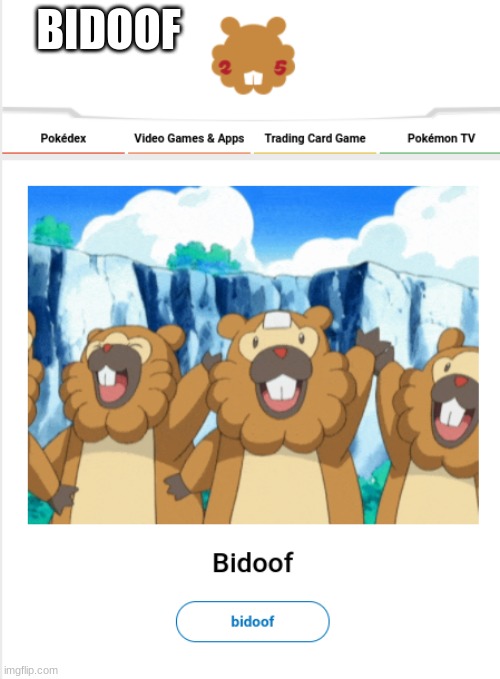 BIDOOF | image tagged in bidoof,pokemon | made w/ Imgflip meme maker