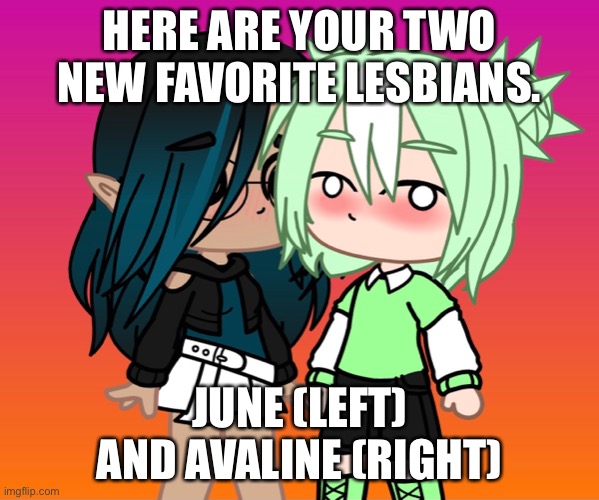 Hi sistersssss | HERE ARE YOUR TWO NEW FAVORITE LESBIANS. JUNE (LEFT) AND AVALINE (RIGHT) | made w/ Imgflip meme maker