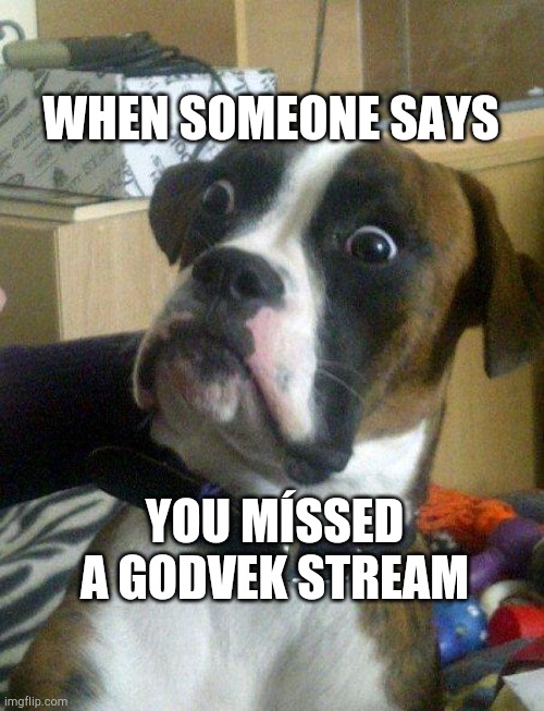 Missing a godvek stream | WHEN SOMEONE SAYS; YOU MÍSSED A GODVEK STREAM | image tagged in blankie the shocked dog | made w/ Imgflip meme maker