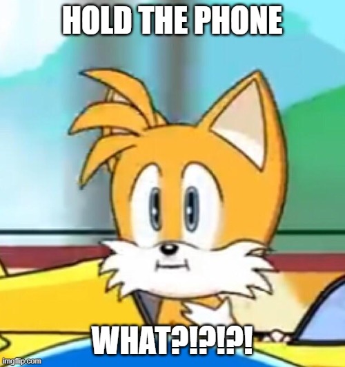 HOLD UP WHAT!?!?! | HOLD THE PHONE WHAT?!?!?! | image tagged in tails hold up,hold up hold the phone | made w/ Imgflip meme maker