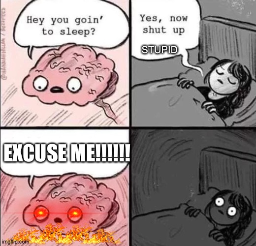 Mum's fury | STUPID; EXCUSE ME!!!!!! | image tagged in waking up brain | made w/ Imgflip meme maker