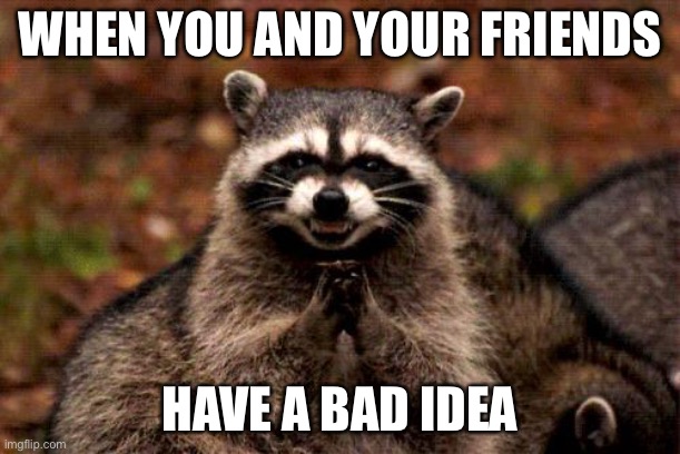 This is would be me if I hadn’t lost all my friends | WHEN YOU AND YOUR FRIENDS; HAVE A BAD IDEA | image tagged in memes,evil plotting raccoon | made w/ Imgflip meme maker