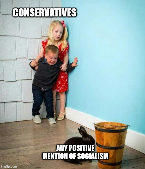 Conservatives vs Socialism | CONSERVATIVES; ANY POSITIVE MENTION OF SOCIALISM | image tagged in children scared of rabbit | made w/ Imgflip meme maker