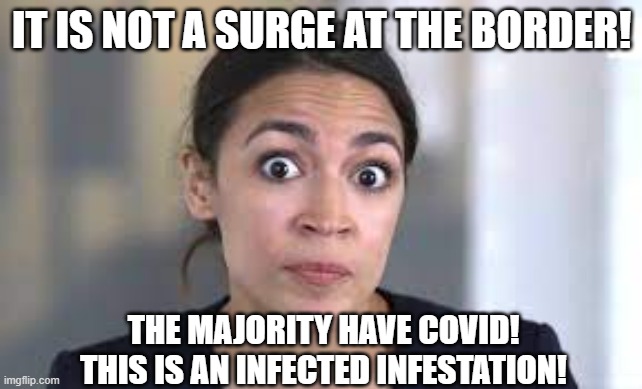 border surge | IT IS NOT A SURGE AT THE BORDER! THE MAJORITY HAVE COVID!
THIS IS AN INFECTED INFESTATION! | image tagged in aoc,secure the border,border | made w/ Imgflip meme maker