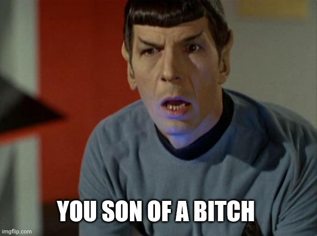 Shocked Spock  | YOU SON OF A BITCH | image tagged in shocked spock | made w/ Imgflip meme maker