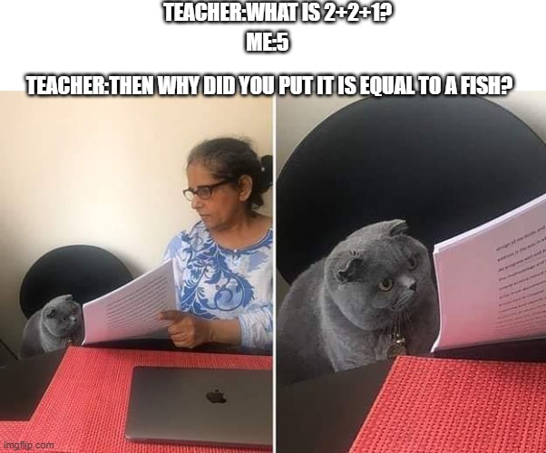 Woman showing paper to cat | TEACHER:WHAT IS 2+2+1? ME:5; TEACHER:THEN WHY DID YOU PUT IT IS EQUAL TO A FISH? | image tagged in woman showing paper to cat | made w/ Imgflip meme maker