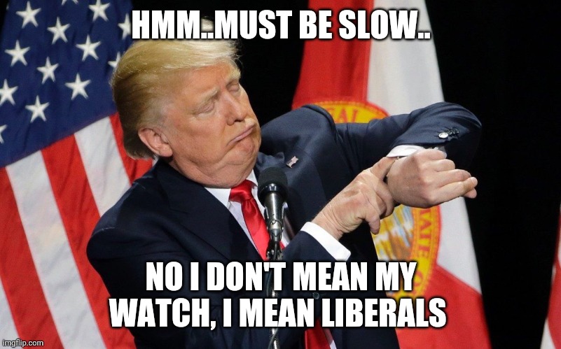 trump checks watch | HMM..MUST BE SLOW.. NO I DON'T MEAN MY WATCH, I MEAN LIBERALS | image tagged in trump checks watch | made w/ Imgflip meme maker