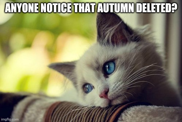 First World Problems Cat Meme | ANYONE NOTICE THAT AUTUMN DELETED? | image tagged in memes,first world problems cat | made w/ Imgflip meme maker